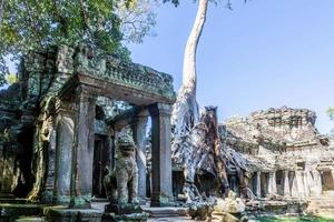 bild av djungel träd överväxande de ruiner av angkor wat i cambodia i sommar foto