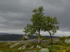 de fjordar av Norge foto