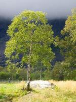 de fjordar av Norge foto