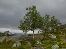 de fjordar av Norge foto