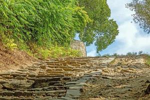 bild av en romantisk kullersten gata bevuxen med träd och löv i de medeltida stad av motovun i central Istrien under de dag foto