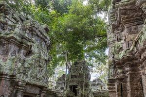 mystisk och känd ruiner av ankare wat i cambodia med Nej människor i sommar foto