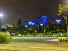 bild av trädgårdar förbi de bukt parkera i singapore under nattetid i september foto