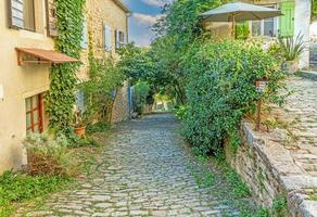 bild av en romantisk kullersten gata bevuxen med träd och löv i de medeltida stad av motovun i central Istrien under de dag foto