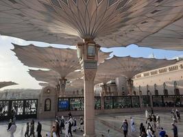 medina, saudi Arabien, dec 2022 - en stor siffra av pilgrimer samla i de gård utanför masjid al nabawi. foto