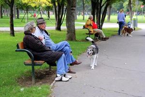 Wien, österrike - augusti 31, 2014. se på en parkera med äldre människor Sammanträde på en bänk och gående hundar. foto