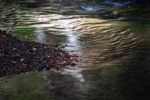 små skog flod i sommar med grön bakgrund foto