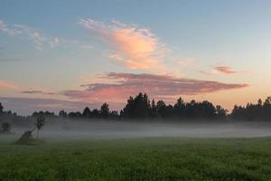 landskap av lettland i sommar foto