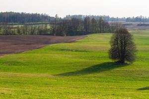 lettiska springtime landskap foto