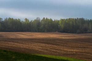 lettiska springtime landskap foto