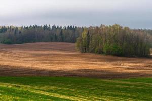 lettiska springtime landskap foto