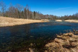 lettiska springtime landskap foto