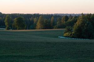 lettiska sommar landskap foto