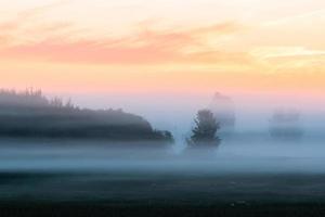 lettiska sommar landskap foto