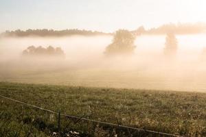 lettiska sommar landskap foto