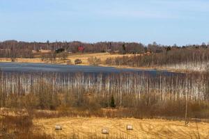 lettiska springtime landskap foto