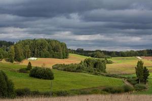 lettiska sommar landskap foto