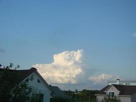 naturlig bakgrund. skön ram bildas förbi träd kronor. molnig blå himmel. solig sommar dag foto