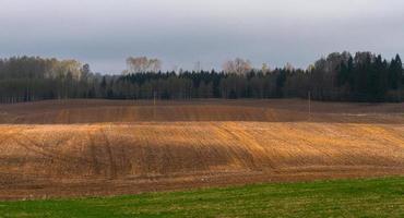 lettiska springtime landskap foto