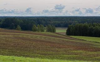 sommar landskap i lettland foto