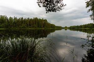 lettiska springtime landskap foto