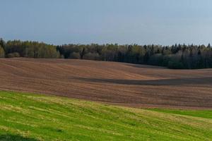 lettiska springtime landskap foto