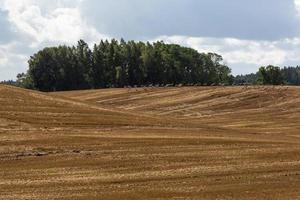 lettiska höst landskap foto