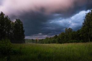 lettiska sommar landskap foto