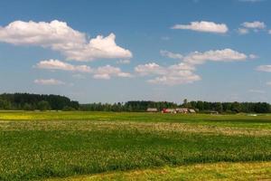 lettiska springtime landskap foto