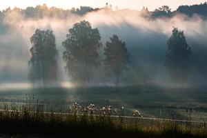 landskap av lettland i sommar foto