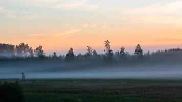 lettiska sommar landskap foto