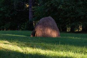 sommar landskap i lettland foto
