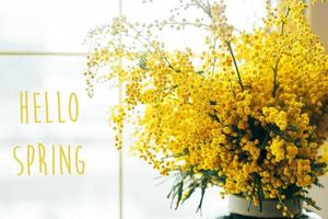 Hej vår. bukett av gul mimosa blommor. 8 Mars, kvinnors dag begrepp. foto