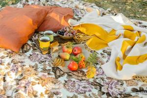 höst picknick på natur. mysigt höst utomhus- begrepp. te koppar, frukt och vindruvor foto