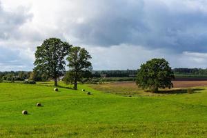 lettiska höst landskap foto
