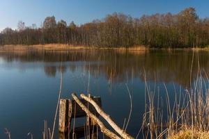 lettiska springtime landskap foto