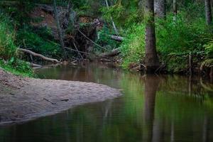 små skog flod i sommar med grön bakgrund foto