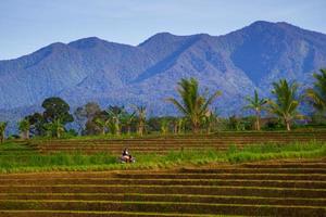 skön morgon- se av Indonesien. panorama- se av berg under solig morgon-