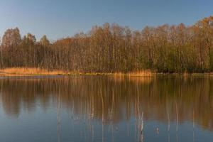 lettiska springtime landskap foto