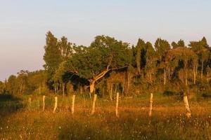 sommar landskap från mmuhu ö foto