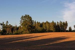 lettiska sommar landskap foto