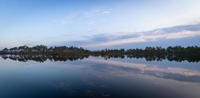 träsk sjö i springtime foto