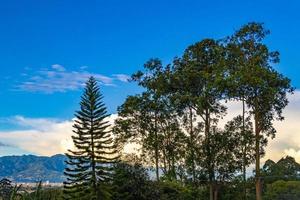 skön berg landskap stad panorama skog träd natur costa rica. foto