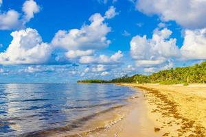 tropisk mexikansk strand vatten tång sargazo playa del carmen Mexiko. foto