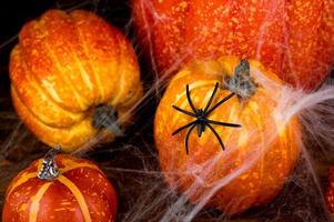 närbild av Spindel Sammanträde på pumkin täckt i webb. läskigt halloween bakgrund foto