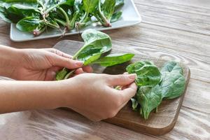 vegetarian bageri begrepp. kockens händer skärande spenat i kök av Kafé, restaurang. stänga upp foto