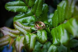 gyllene bröllop ringar lögn på löv grön växt. foto