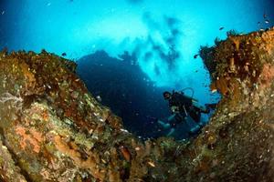 dykning dykare under vattnet nära sten fisk i de hav foto