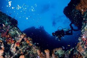 dykning dykare under vattnet nära jätte svamp i de hav foto