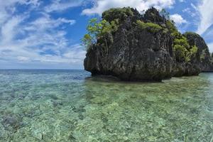 turkos tropisk paradis strand hav hav kristall vatten klar foto